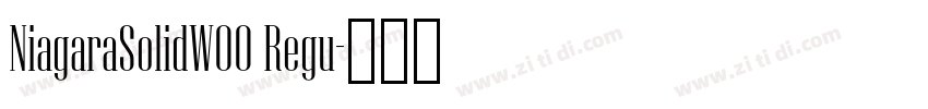 NiagaraSolidW00 Regu字体转换
